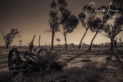 1_Nardoo-Station-Relic-PremBW129-Final-WEB