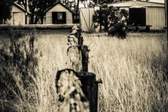 IMG_6752-HDR-17-SPEFT-130-E-WM-Medium