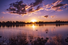 MG_8451-Edited-WM-Medium