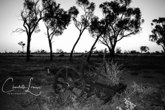 Nardoo-Station-Relic-Cart-PremBW147-Final-Website