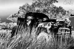 Old-Truck-BW-Edit-WM-Medium