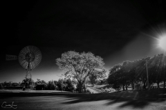 Outback-Windmill-BW-Final-WM-Medium